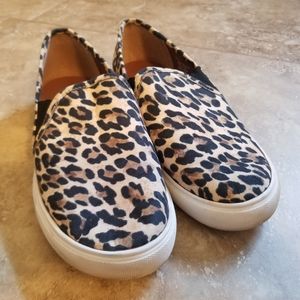 Steve Madden-Women's Leopard Symba Sneaker 6.5